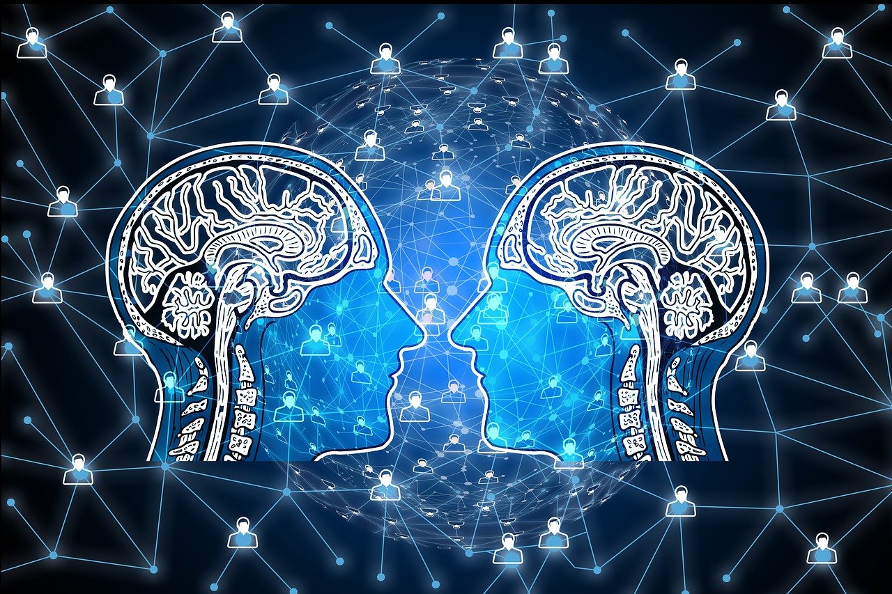 錦桐最新章節(jié)揭秘，故事新發(fā)展的探索之旅