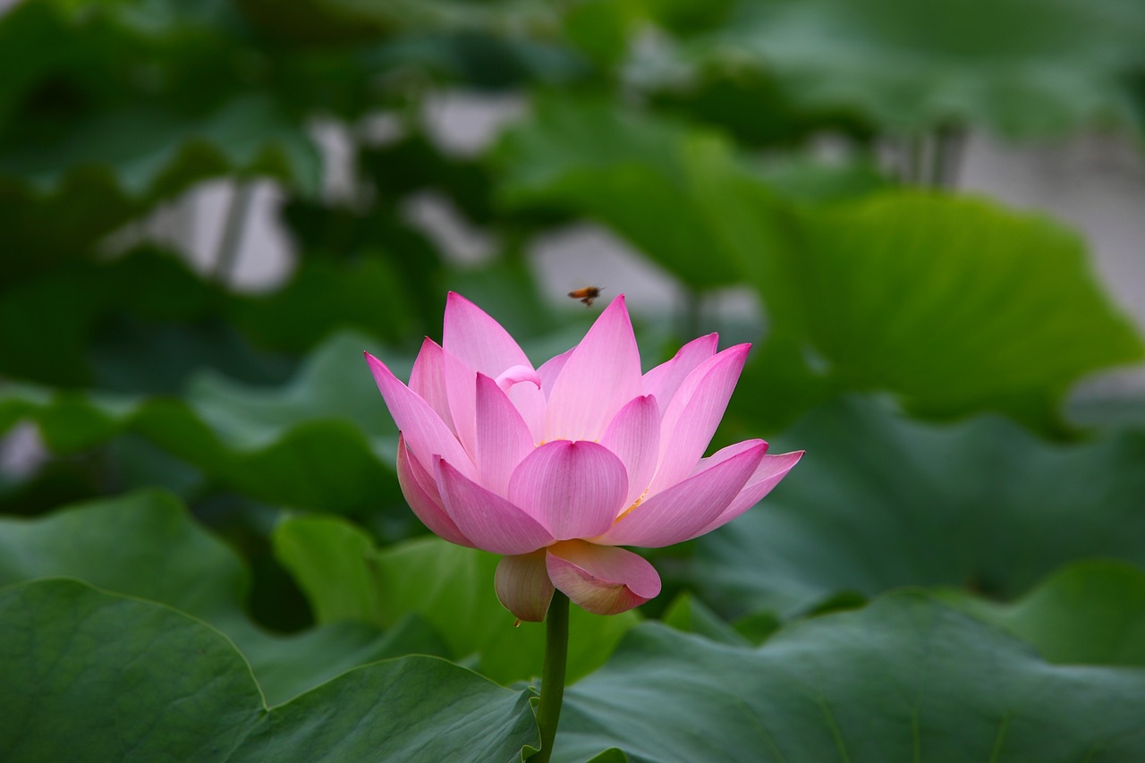 友好集團(tuán)持續(xù)創(chuàng)新與發(fā)展，共創(chuàng)美好未來(lái)，最新動(dòng)態(tài)與消息速遞